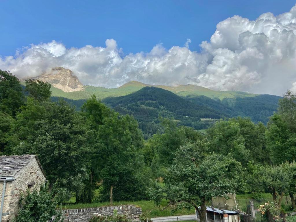Chasa Sassalbo Bed & Breakfast Poschiavo Exterior foto